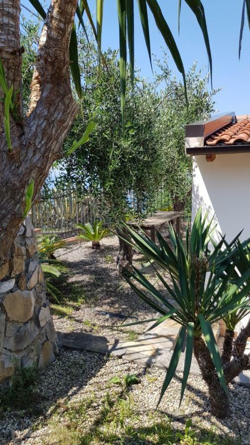 Piccola Casa Con Giardino Villa Sanremo Dış mekan fotoğraf
